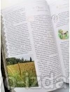 Україна. Все, що робить нас українцями. Подарункове видання : Подарункові видання - Видавництво "Право" Україна. Все, що робить нас українцями. Подарункове видання : Подарункові видання - Видавництво "Право"